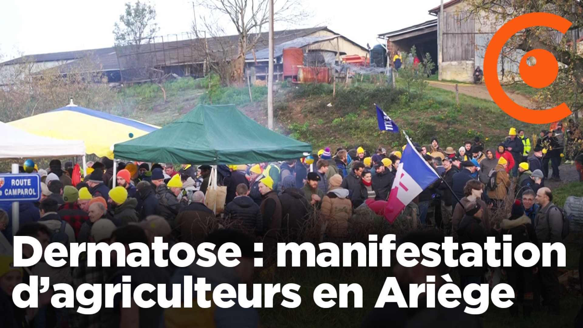 Dermatosis: farmers' demonstration in Ariège
