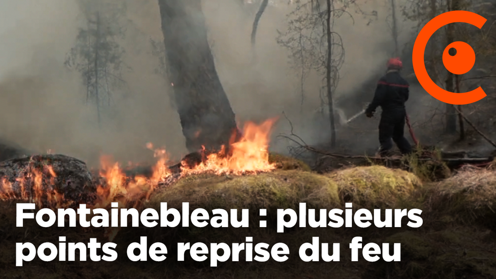 Fontainebleau : plusieurs points de reprise du feu de forêt 