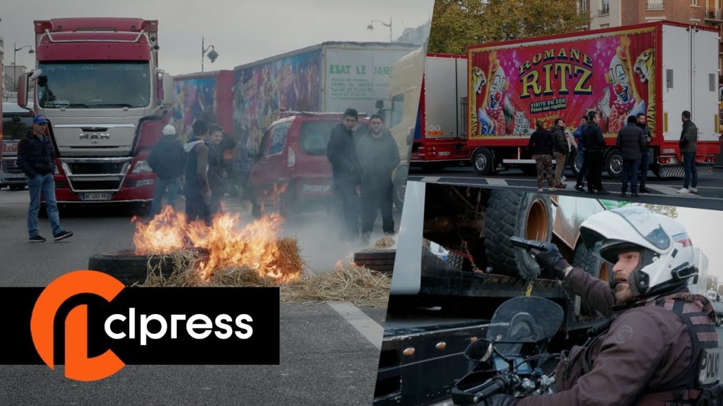 The protest against circuses is escalating: tensions with the BRAVM