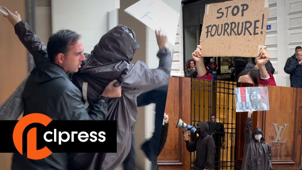 Des militants envahissent LVMH et Louis Vuitton contre la fourrure 