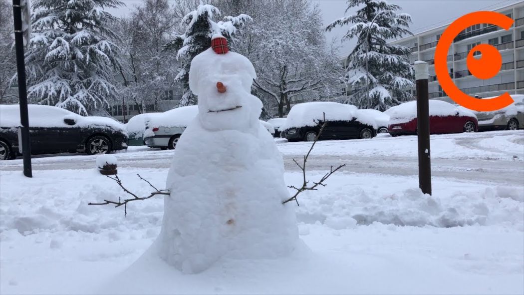 Les habitants se réveillent sous la neige 