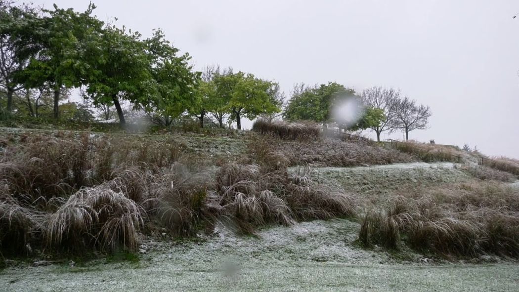 Snow: first flakes of the season