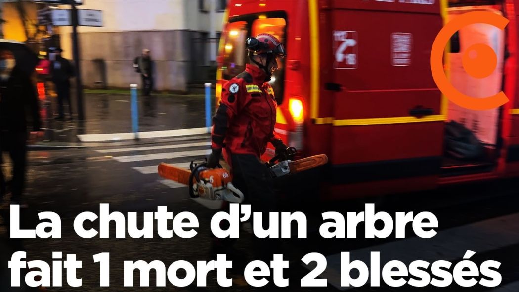 Fall of a tree in Paris: a father died and 2 children seriously injured