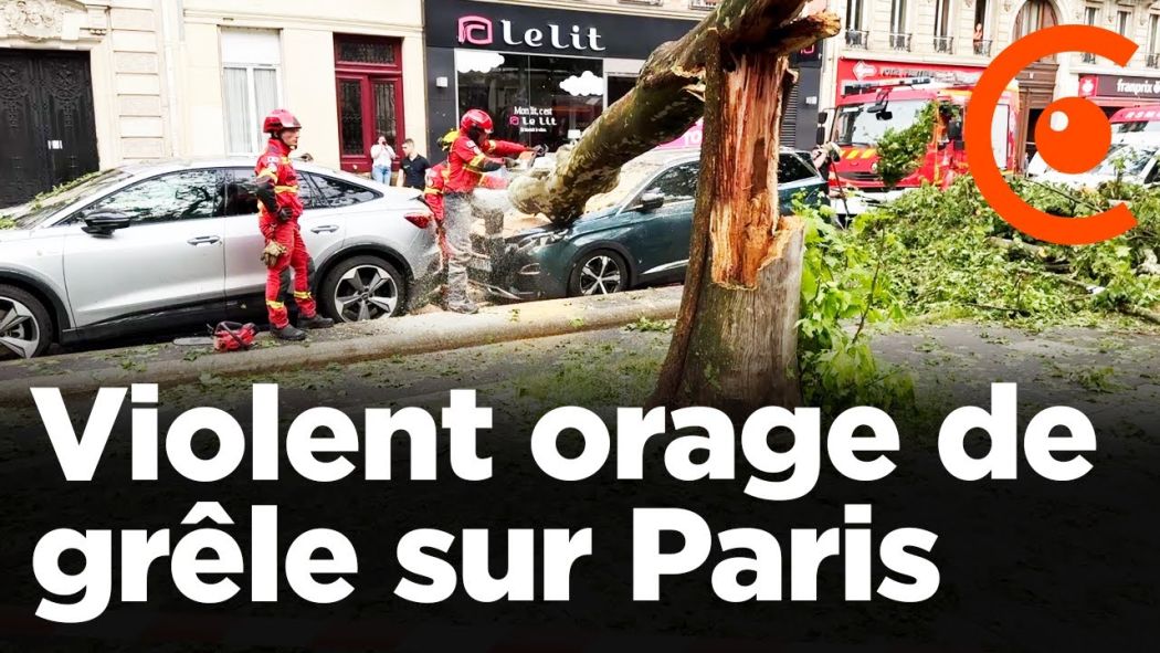 Orage de grêle : un arbre au sol et le métro inondé à Paris