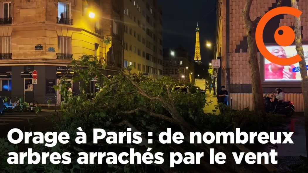 Orages à Paris : des dizaines d'arbres arrachés par le déluge proche de la Tour Eiffel