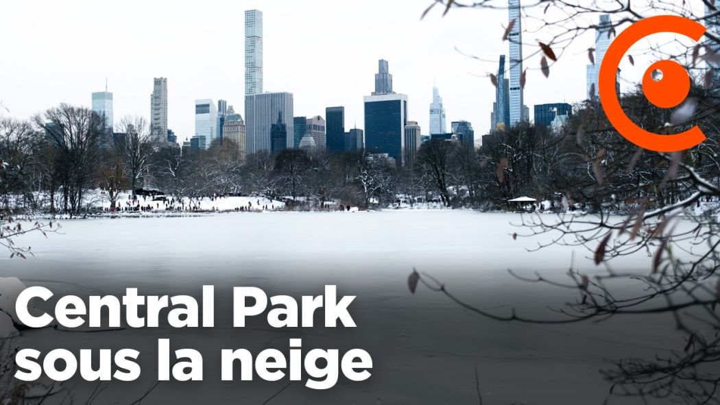 Tempête de neige à New York : 10cm de neige à Central Park 