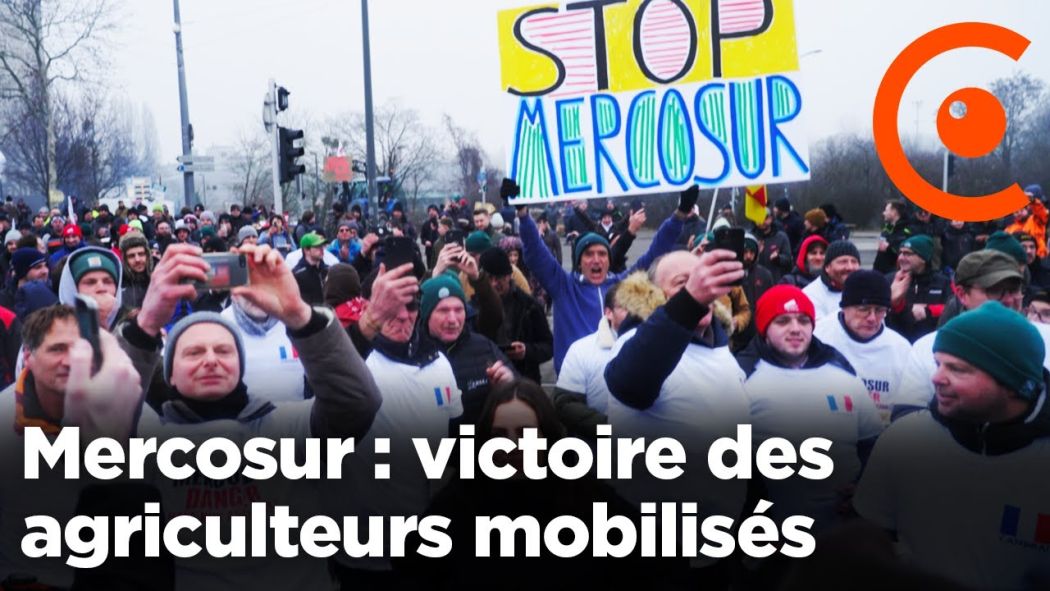 Mercosur: victory for mobilized farmers in Strasbourg, European Parliament refers case to Court of Justice