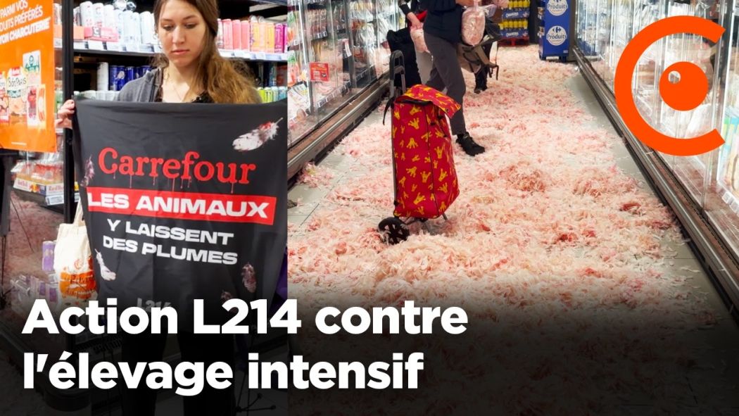 Action L214 contre l'élevage intensif chez Carrefour