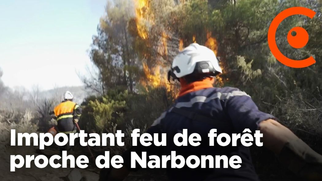 Important feu de forêt proche de Narbonne