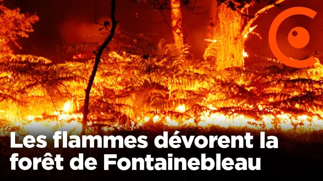  Images au coeur du feu en forêt de Fontainebleau : incendie impressionnant en Île de France