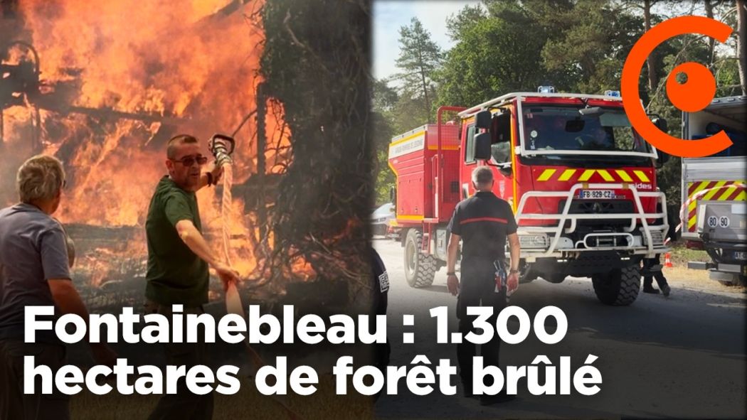 Fontainebleau : 1.300 hectares de forêt brûlé aux portes de Paris