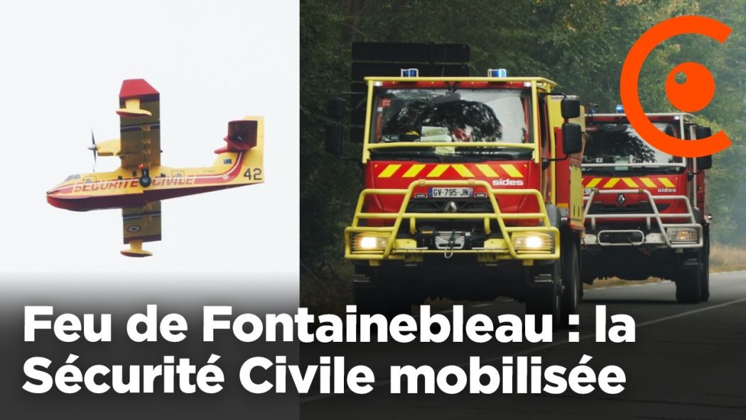 Feu de Fontainebleau : la Sécurité Civile mobilisée sur le terrain