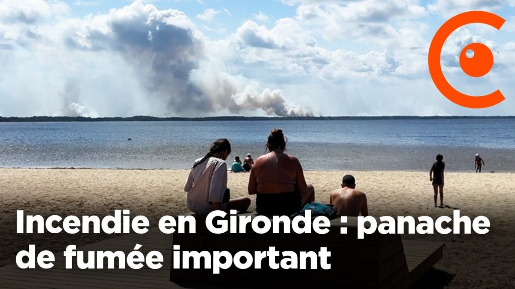 Fire in Gironde: smoke plume and aerial resources from a beach