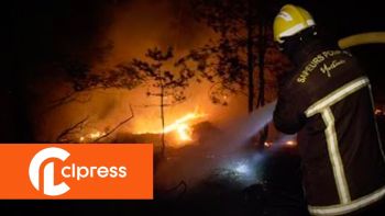 A major wildfire in the Sénart Forest: several acres destroyed