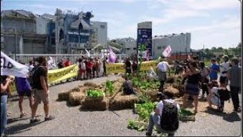 G7 : Des militants bloquent une usine Bayer Monsanto 