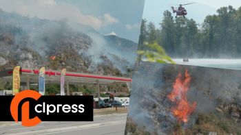 Feu de forêt en Isère : les pompiers luttent contre les flammes