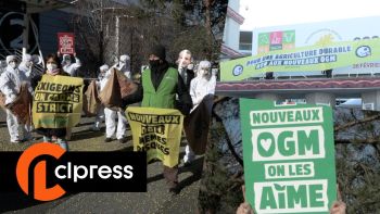 Salon de l'agriculture 2022 : action de "Greenpeace" contre les OGM
